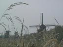 windmill1-t.jpg (9153 bytes)